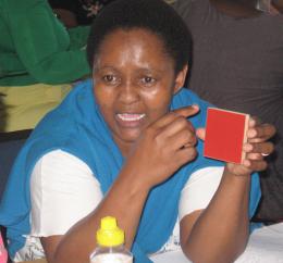 Teacher at the BCP training Metro South Education District