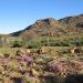 Kamiesberg Muncipality