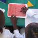 Metro Central Education District: WCED