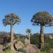 Kamieskroon, Northern Cape